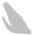 brush-tool-75